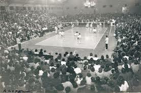 copa de voleibol femenina
