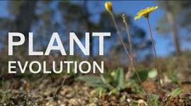 Timeline: Benelli Onley - Evolution of Plants Timeline