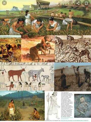 Origen de la agricultura