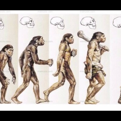 Timeline: linea del temps socials