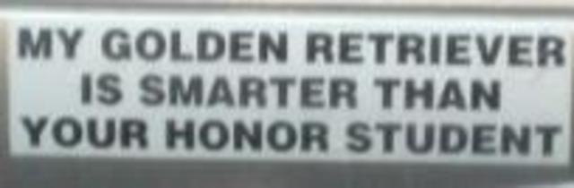My first visit with our long beloved, Danny Dog