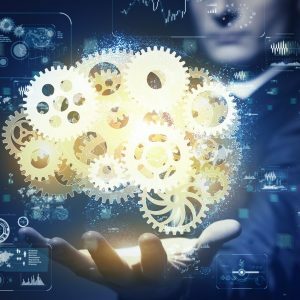 Modelos y líneas de producto