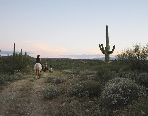 The Alchemist Leaves the Boy