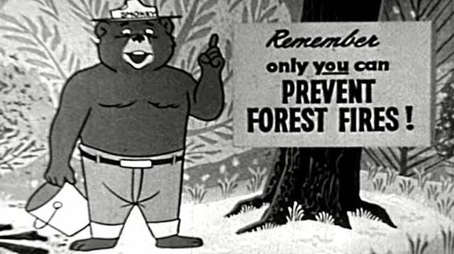 SMOKEY THE BEAR MAKES AIRWAVES