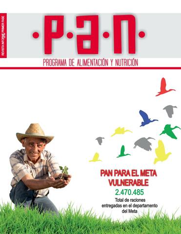 Diseño del Plan Nacional de Alimentación y Nutrición (PAN)