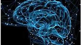 Timeline: La Neuropsicología en el tiempo