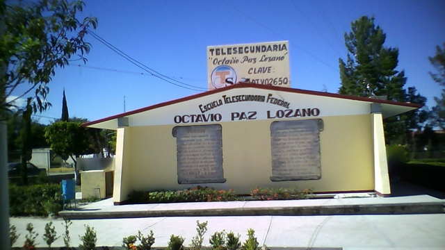 Licenciatura (Segundo grado)