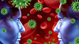 Timeline: enfermedades virales