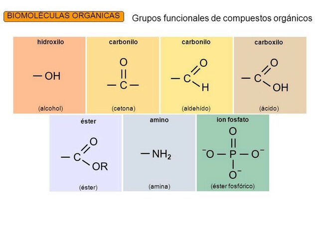 Practica 5: Identificaciones de grupos funcionales