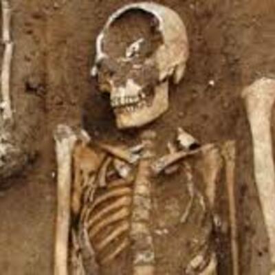 Timeline: Enfermedades virales y pandemias en la historia