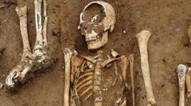 Timeline: Enfermedades virales y pandemias en la historia