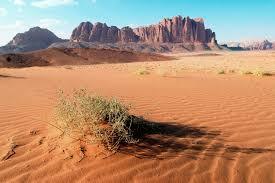 Salve arrived desert.