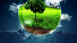 Timeline: ECOLOGIA