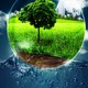Ecology environment water earth environmental concepts
