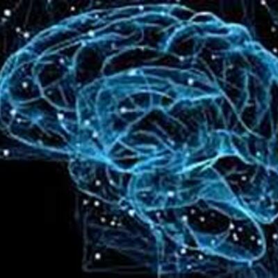 Timeline: La Neuropsicología en el tiempo