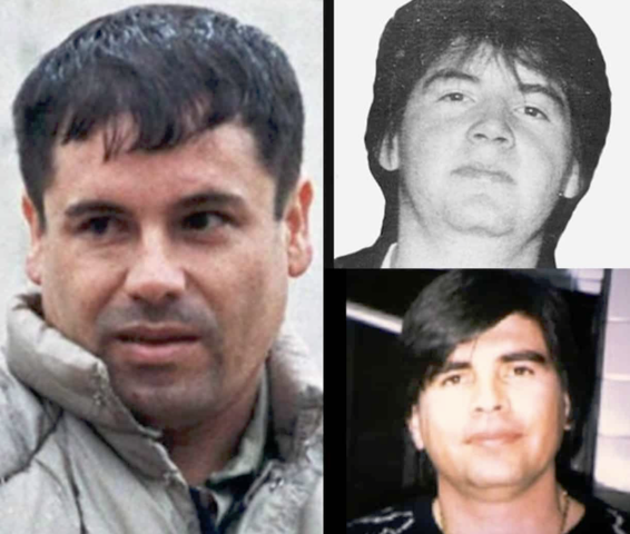 Alianza entre el Cártel de Sinaloa y el Cártel de los Arellano Félix