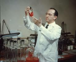 Jonas Salk desarrolla la vacuna contra la polio haciendo crecer virus atenuados en cultivos.