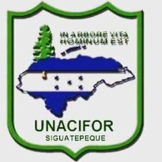 Universidad Nacional de Ciencias Forestelas