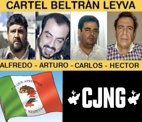 Alianza de la Organización Beltrán Leyva  con el Cártel de Juárez, el Cártel Jalisco Nueva Generación y Los Zetas