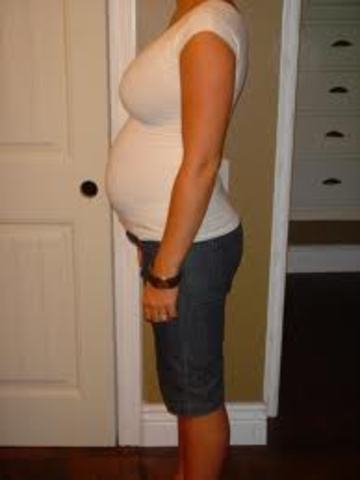 6 months pregnant