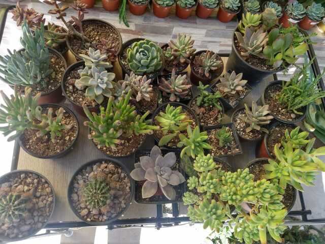 Aprendiendo con su nuevo hobby