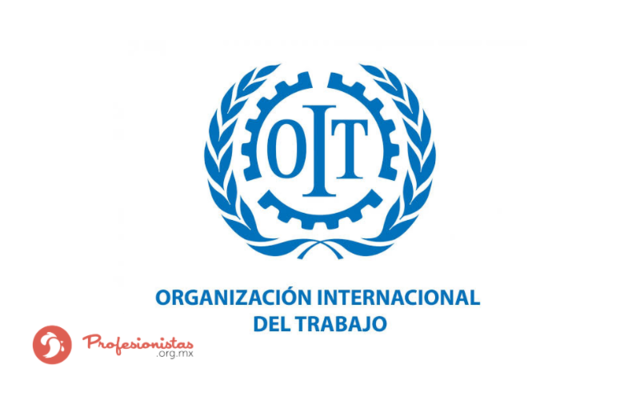 La ANDI junto con la Organización Internacional del Trabajo OIT