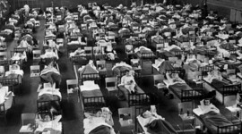 Timeline: Gripe asiática