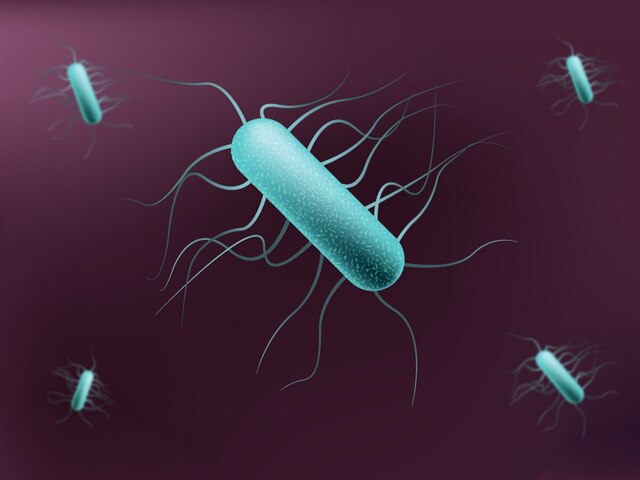 Johnny Peraza y Katia Nuñéz