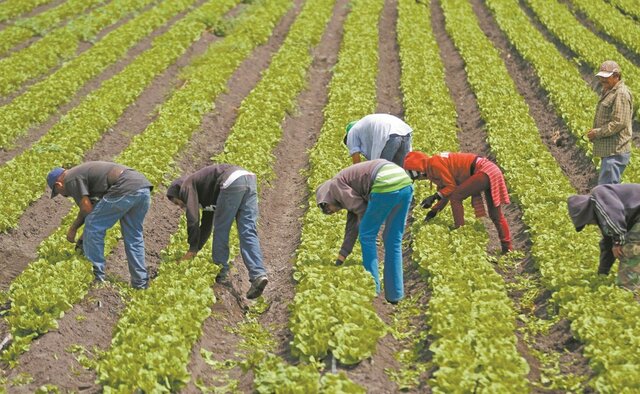 Apoyo a los campesinos