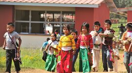 Timeline: PEDAGOGIAS