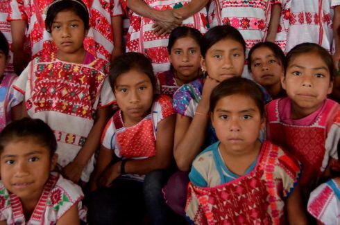 Modelo Pedagógico Nativo (2018)