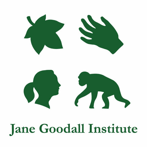Foundation of the  Jane Goodall Institute