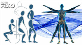 Timeline: A Fisioterapia no Brasil e no mundo