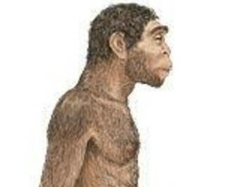 El Paleolític: Homo Erectus