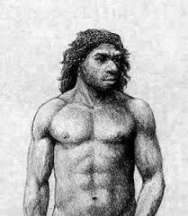 Característiques del Homo Neandertal.