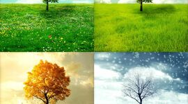Timeline: Le quattro stagioni