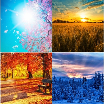 Timeline: Il ciclo della natura in festa