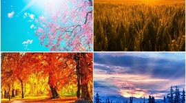 Timeline: Il ciclo della natura in festa