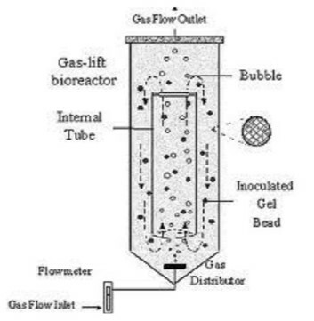 Biorreactor Air lift