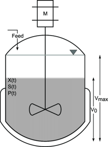 Biorreactor de Fed Batch.