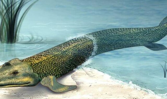 Un mundo verde - 450 MLN YRS AGO