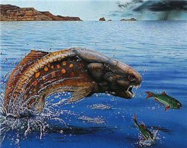 devonion period 395-345 MYA