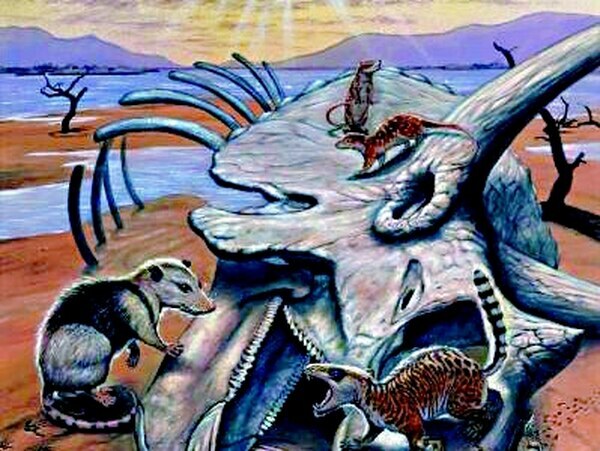 Sobrevivientes del apocalipsis - 60 MLN YRS AGO