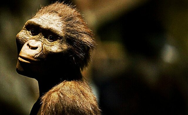 Australopithecus - 4 MLN YRS AGO