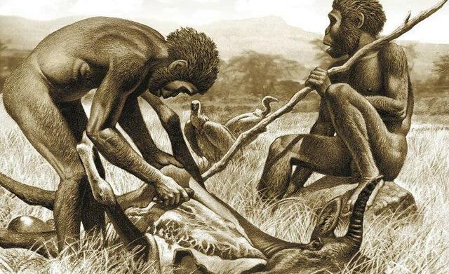 Homo Habilis - 2 MLN 500K YRS AGO