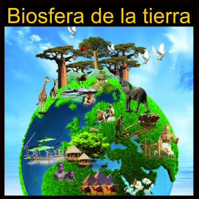 Biosfera