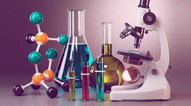 Timeline: LINEA DE TIEMPO