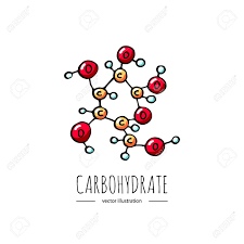 CARBOHIDRATO