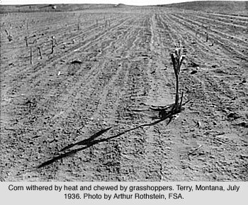 Crop Failure in the Prairies
