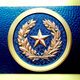 Texas seal